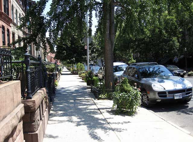 Greenest Block In Brooklyn Residential Finalist Bainbridge Street between Malcolm X Boulevard and Stuyvesant Avenue in Bedford Stuyvesant.